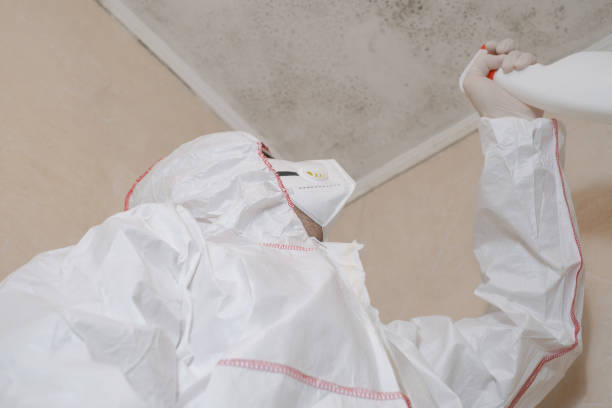 Best Bathroom Mold Remediation in Port Morris, NJ