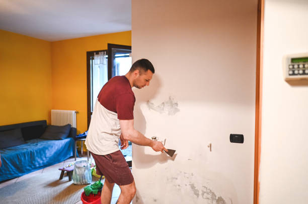 Best Mold Testing and Inspection Services in Port Morris, NJ